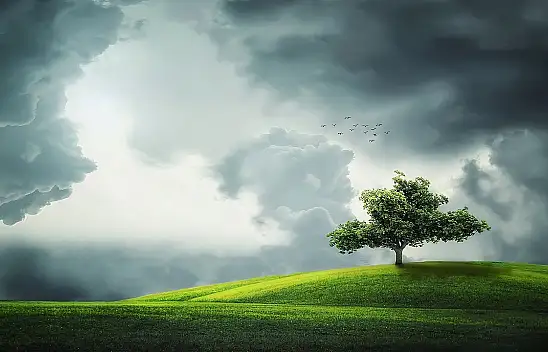 Konyalı öğretmen bitkilerden elektrik üretecek