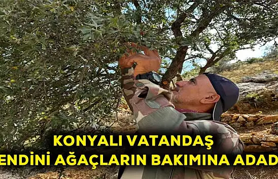 Konyalı vatandaş kendini ağaçların bakımına adadı