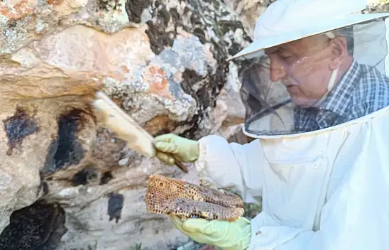 Konyalı vatandaşın dedesinden miras! Balı taştan çıkartıyor