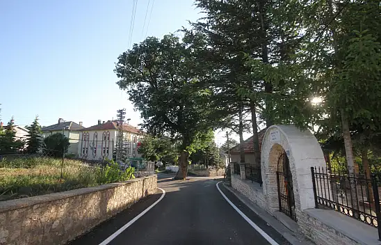 Konyalı vatandaşlardan çevre dostu hareket! Kesilmeyen ağaç öyle bir yerde kaldı ki