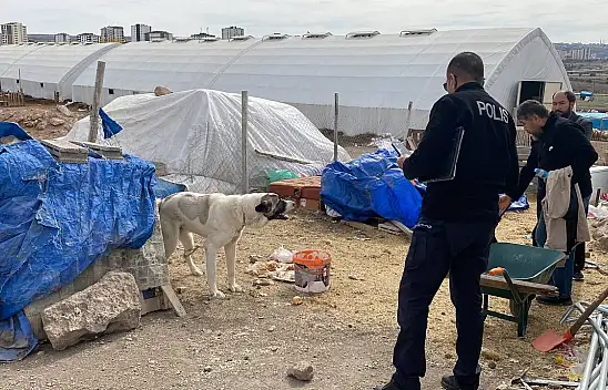 Köpek saldırısına uğrayan çocuk ağır yaralandı