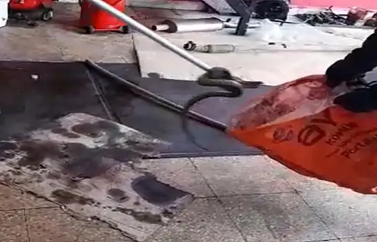 Korkudan kimse işe başlayamadı, itfaiye çağrıldı