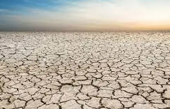 Kuraklık: Çevresel ve insani etkileriyle küresel bir tehdit