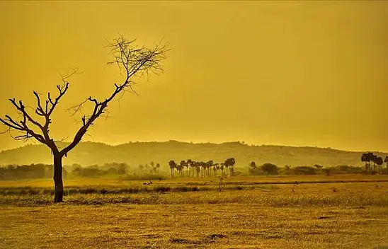 Küresel ısınma tarımı olumsuz etkiliyor
