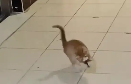 KYK sorunlarına bir yenisi daha eklendi!