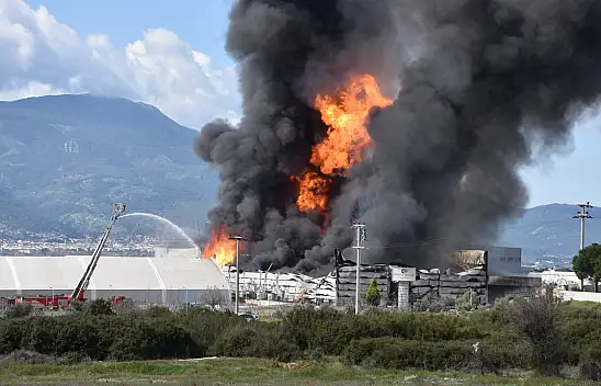 Lojistik firmasında korkutan yangın