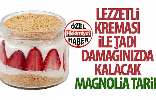 MAGNOLİA TARİFİ! Lezzetli kreması ile tadı damağınızda kalacak Magnolia tarifi!