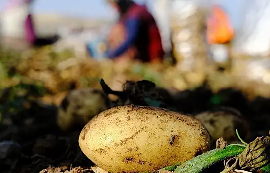 Mayıs ayında en çok pahalanan ürün hangisi oldu?