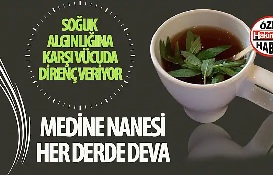 Medine nanesi her derde deva!.. Soğuk algınlığına karşı vücuda direnç veriyor!