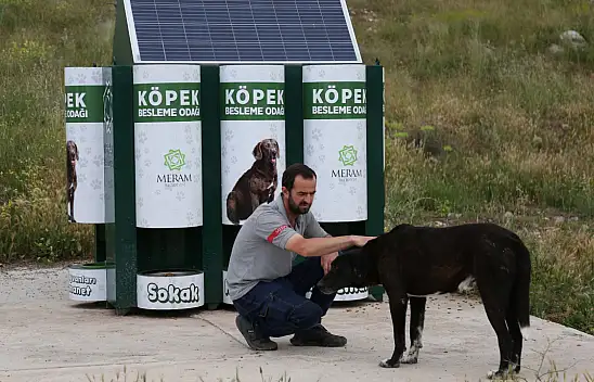 Meram Belediyesinden sokak hayvanlarına akıl dolusu yardım