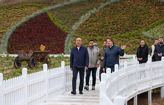 Meram Lavanta kokacak