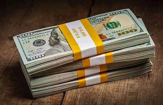 Merkez Bankası doların 29 lira olacağı tarihi açıkladı