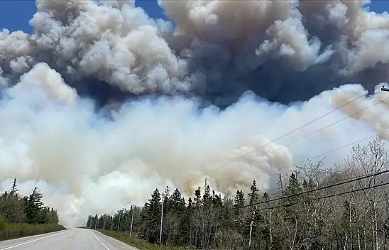 Mocha Kasırgası nedeniyle Myanmar'da 700 bin ev zarar gördü