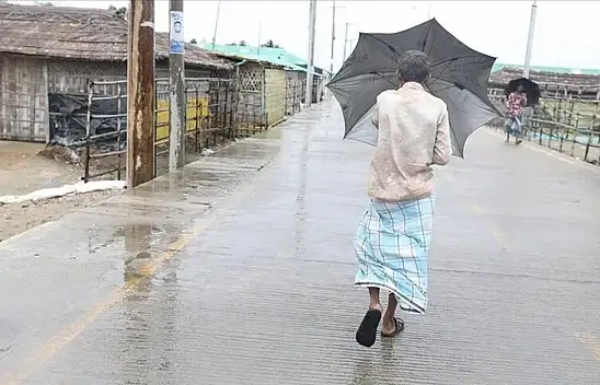 Myanmar'da Mocha Kasırgası: 5 kişi öldü, 700'den fazla kişi yaralandı