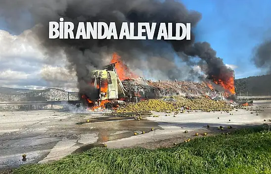 Narenciye yüklü tır bir anda alev aldı: Ürünler ziyan oldu!