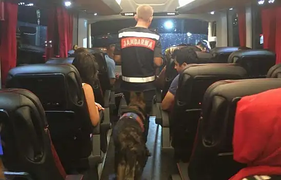 Narkotik köpeğinden uyuşturucuya darbe 