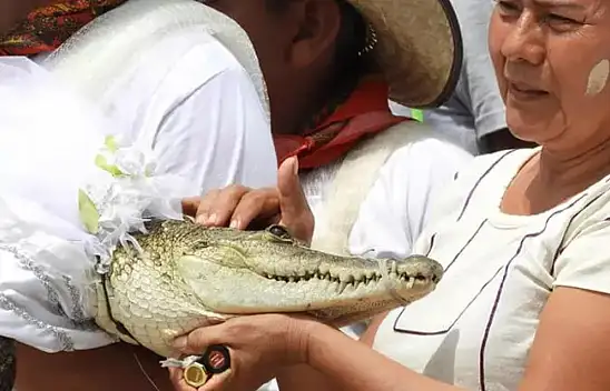 O belediye başkanı timsahla evlendi