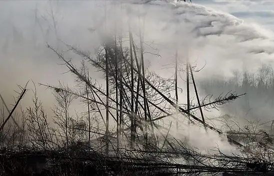 O ülke orman yangınları nedeniyle olağanüstü hal ilan edildi