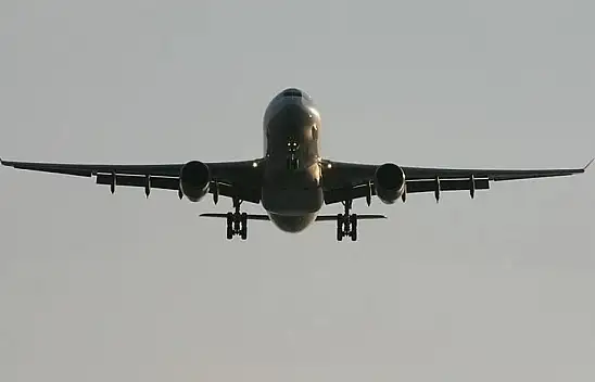 O ülkede uçakta yolcuyu akrep soktu