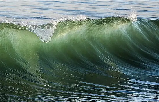 Okyanuslar'da tehlike çanları çalıyor