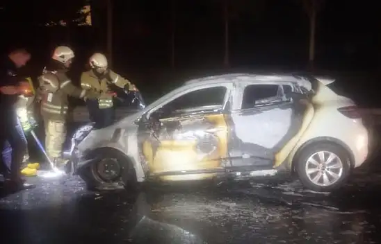 Otomobil TEM'de alev alev yandı