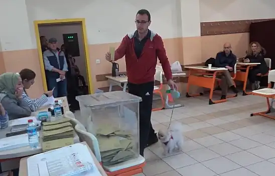Oy kullanmaya köpeği ile geldi
