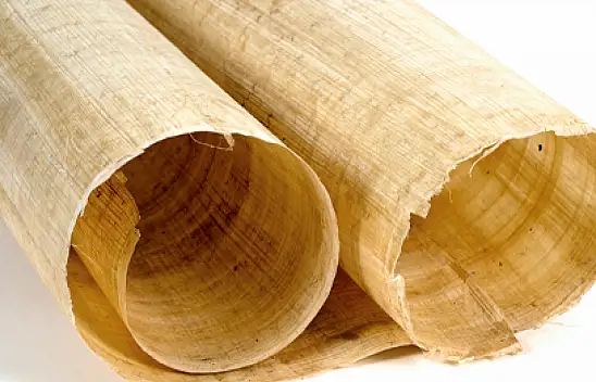 Papirüs nedir? Hangi amaçla kullanılmıştır?