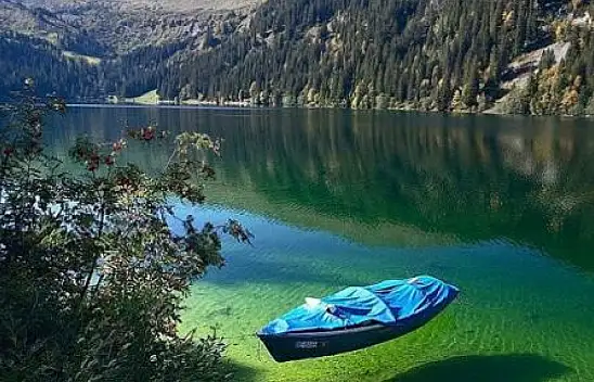 Rusya'nın doğal mirası: Baykal Gölü'nün eşsiz güzellikleri ve ekosistemi
