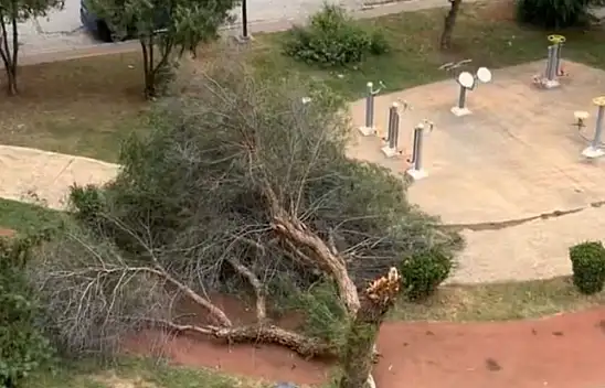 Rüzgar hayatı felç etti!