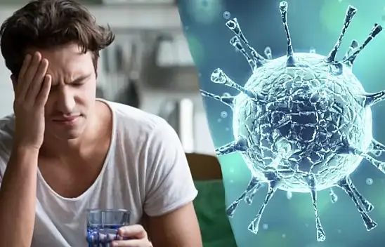 Sadece erkeleri öldüren virüs nedir? Sadece erkekleri öldüren virüsün adı nedir?