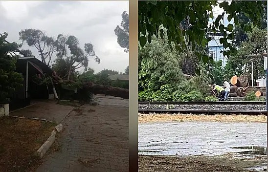 Sağanak yağış ağaçları devirdi demiryolunu kapadı