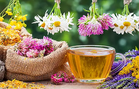 Sağlığınızı destekleyen doğal bitkiler neler? Faydalarına çok şaşıracaksınız