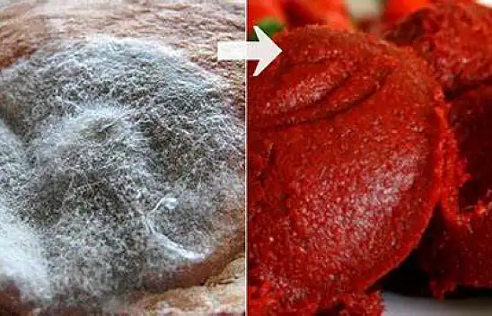 Salça Küflenmesi Nasıl Önlenir?