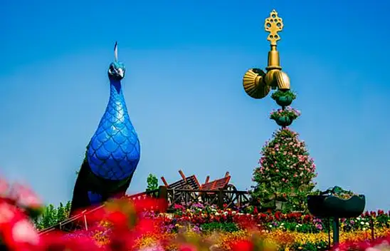 Selçuklu Çiçek Bahçesi Kazananları Belli Oldu