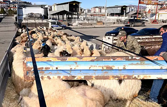 Seydişehir'den Gaziantep'e küçükbaş hayvan desteği