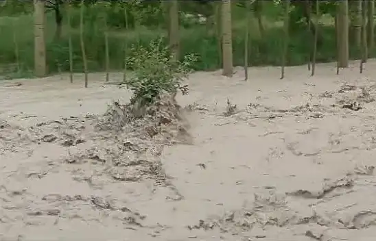  Sivas'ı yağışlar vurdu. Ekili araziler sular altında kaldı