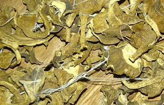 Su ve 10 adet sapla hazırlanan iksir gibi kür. Hemoroidi bıçak gibi kesiyor…