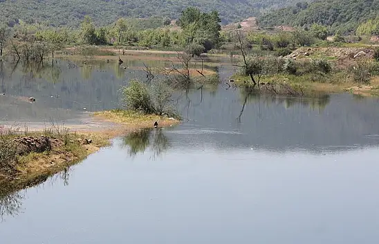 Sulak Alanlar Tehdit Altında