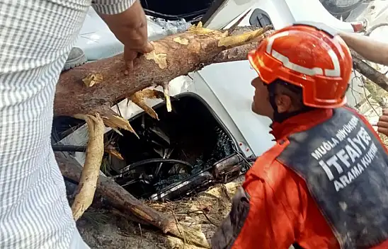 Sürücü direksiyon hakimiyetini kaybetti! Kamyon uçuruma yuvarlandı