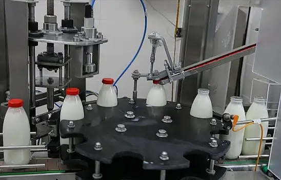 Süt üretimi zirve yaptı