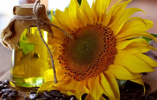 Tarım Kredi fiyatları dip yaptı: İşte yeni ayçiçek yağı fiyatı...