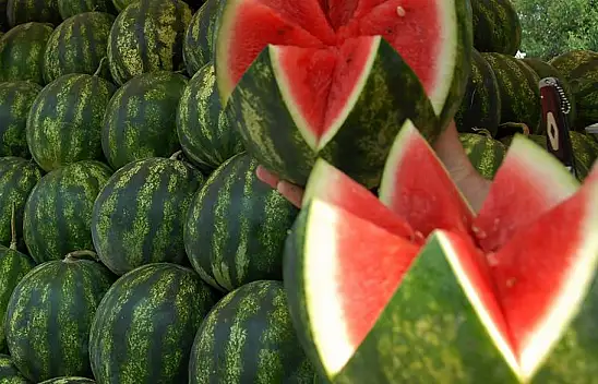 Ünlü isim açıkladı: 'Karpuzun yüzde sekseni mazot!'