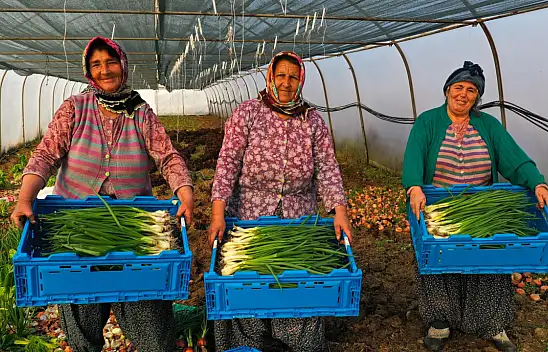 Tarımsal destekler 2023'te çiftçinin yüzünü güldürdü Büyükşehir'den tarıma 236 milyon 210 bin TL destek!