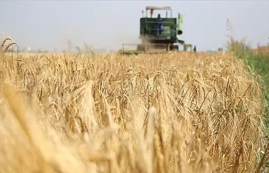 Tarımsal girdi fiyat endeksi arttı
