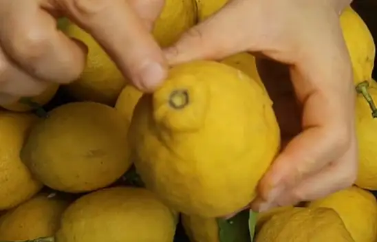 Taze limonları saklama tüyosu. Tam bir sene küflenmiyor ve tadı değişmiyor