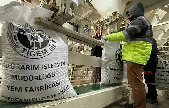 TİGEM'in şampiyon adayı atlarının yemi Konya'da üretiliyor