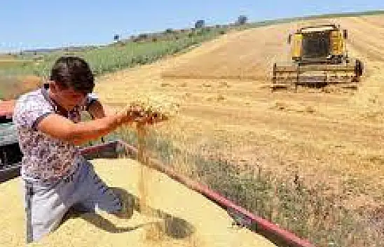 TIKLA-İZLE! Çiftçi TMO'dan randevu alamıyor mu?