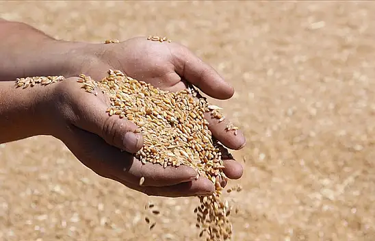 TMO'nun hububat satış fiyatları belirlendi