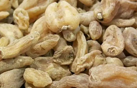 Tohumunu bulan serasını bozup bunu ekiyor! Kilosu 4.000 TL'den alıcı buluyor…