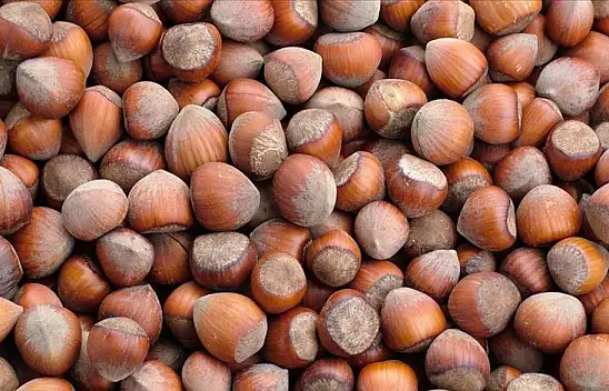 Türkiye 1,6 milyar dolar gelir elde etti